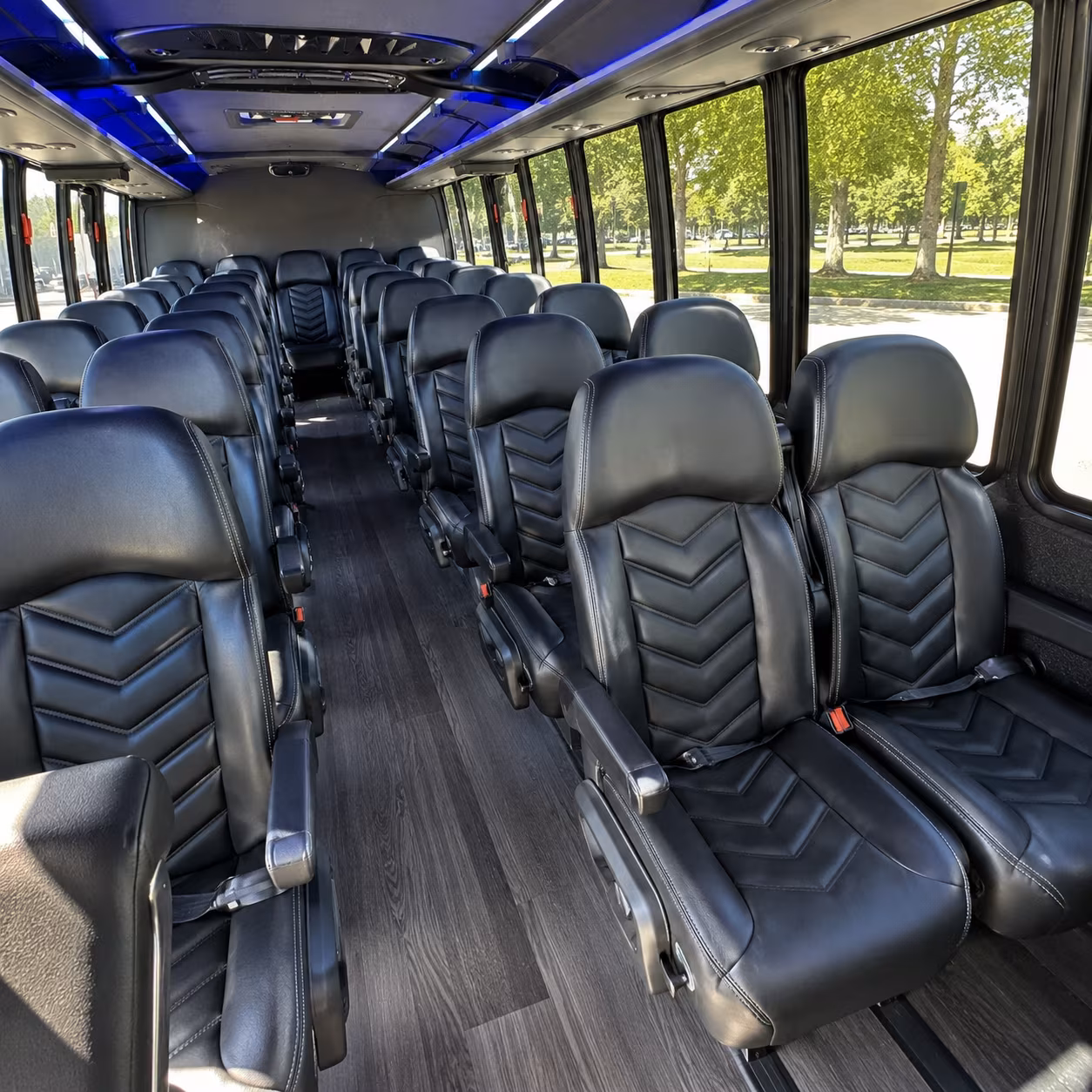Mesa School Event Transportation party bus exterior