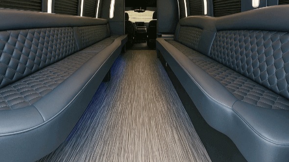 30 passenger party bus interior