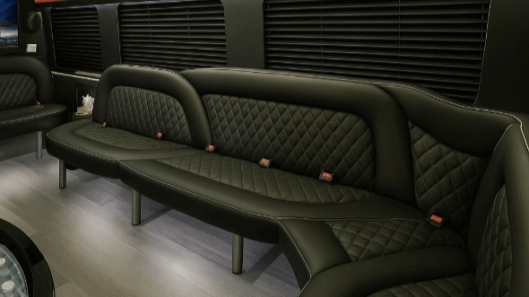 mesa 18 passenger party bus rental