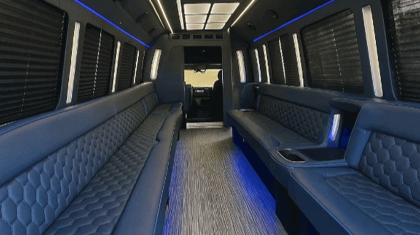 mesa 50 passenger party bus rental