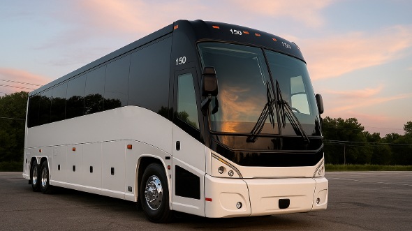 phoenix bachelor and bachelorette party bus rentals